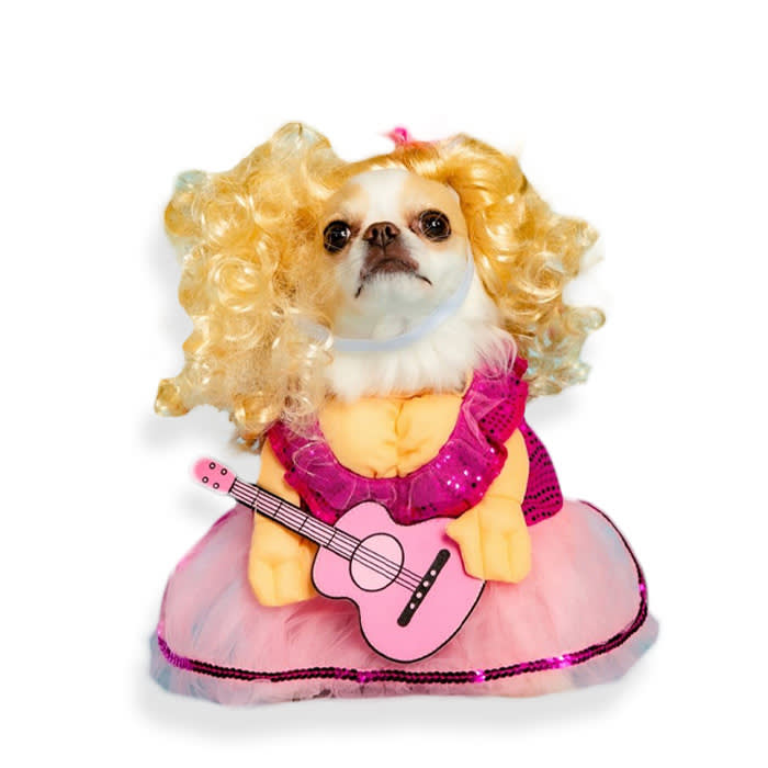 dog in a Dolly Parton costume