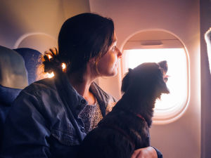 Backlit photo of a woman seated on an airplane holding her dog in her lap while they both look out of the open window. 