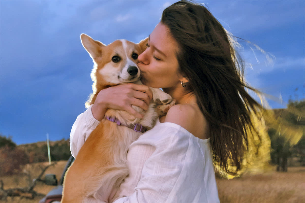 a dog parent holding and kissing a dog