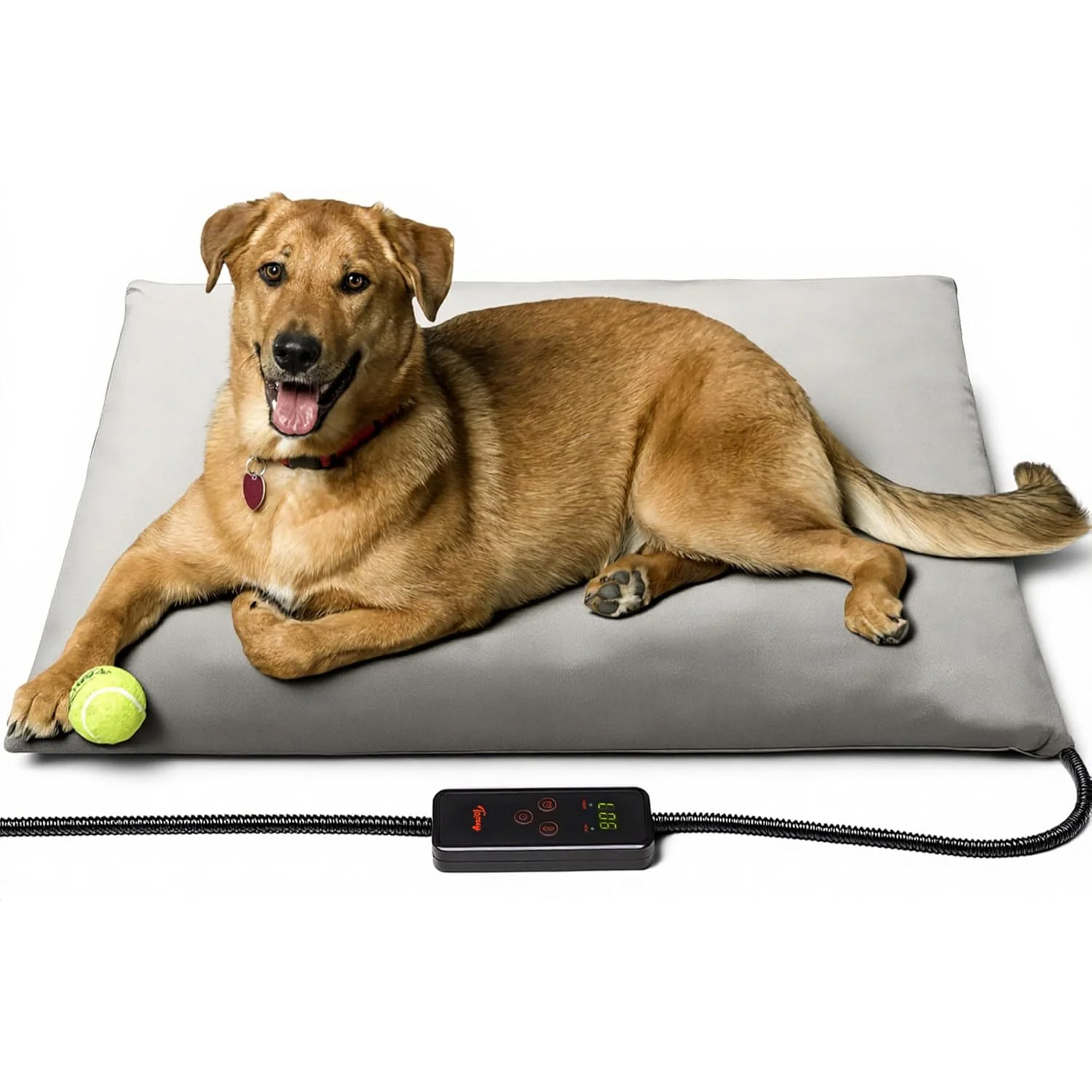 toosey heated dog bed
