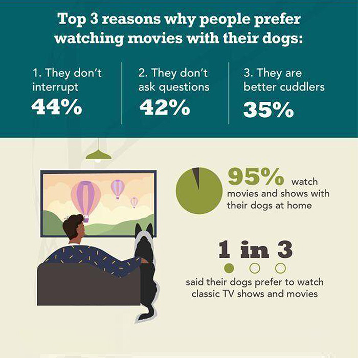 ACANA Top 3 reasons why people prefer watching movies with their dogs