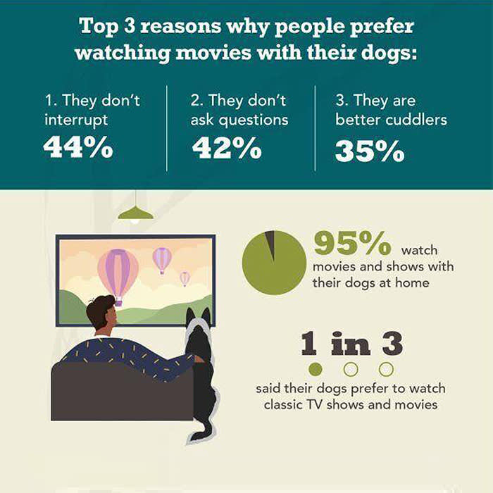 ACANA Top 3 reasons why people prefer watching movies with their dogs