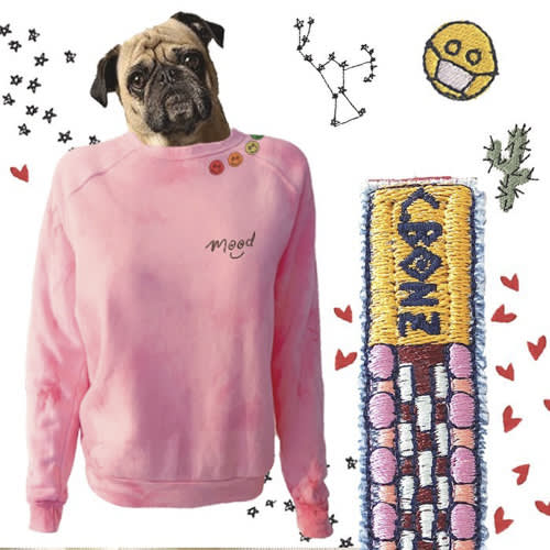 c.bonz hoodie and embroidery patches, a small pug