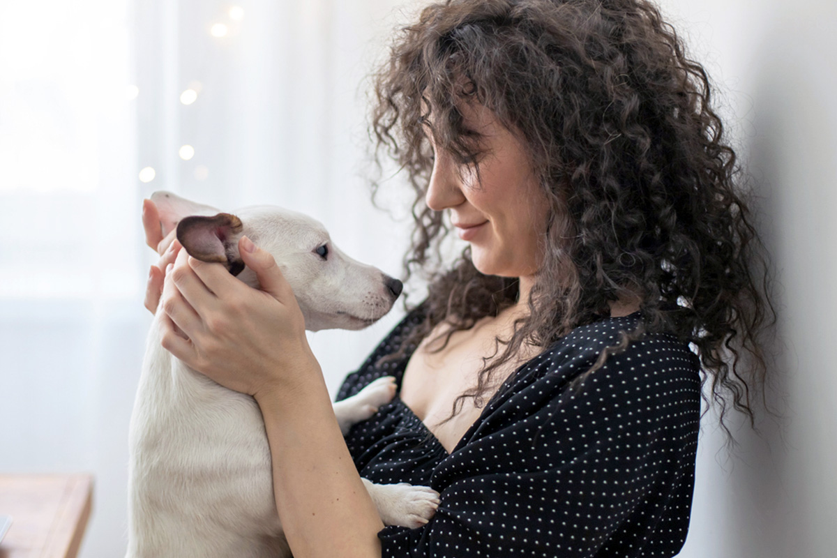 person strokes a dog's face