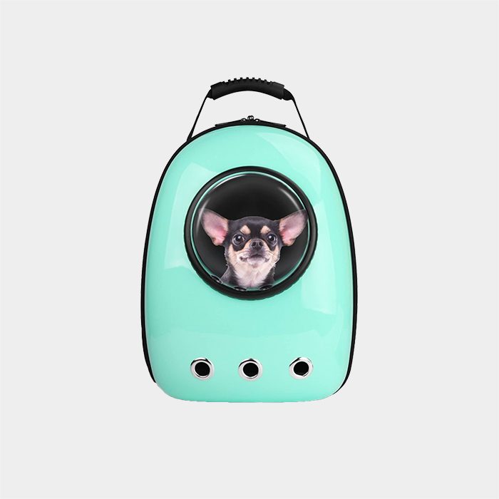 blitz pet carrier