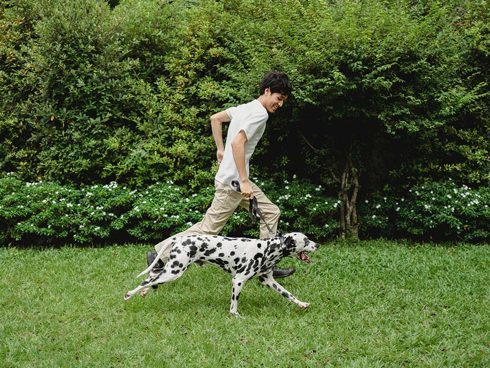 Man running with dalmatian dog on a leash in a backyard with grass