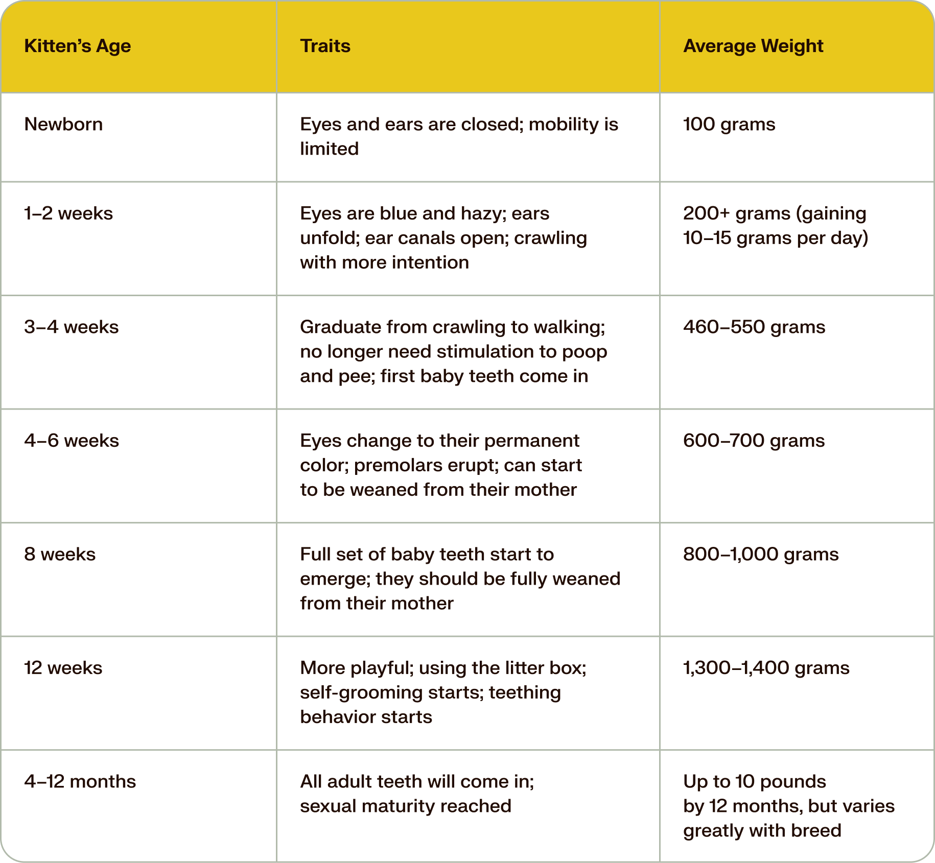 kitten age chart