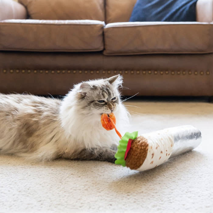 cat pulling at a burrito themed toy