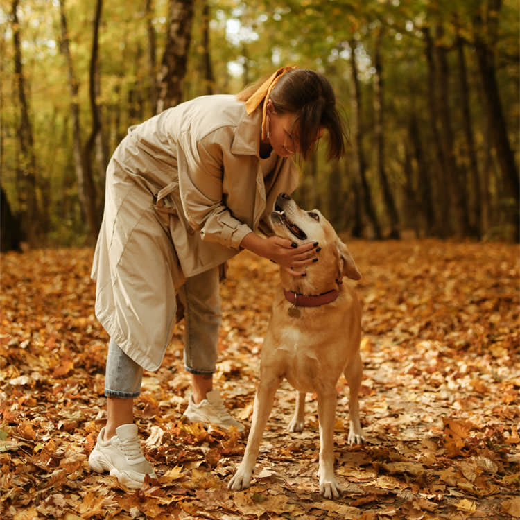 woman and dog play in fall leaves