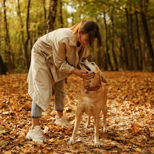 woman and dog play in fall leaves