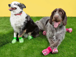 hey’re here – your very own Crocs made just for your four-legged best friend. Created in partnership with BARK, these fan-inspired dog booties are available in two unique glow-in-the-dark marbled colorways and feature an easy-on design with adjustable straps.