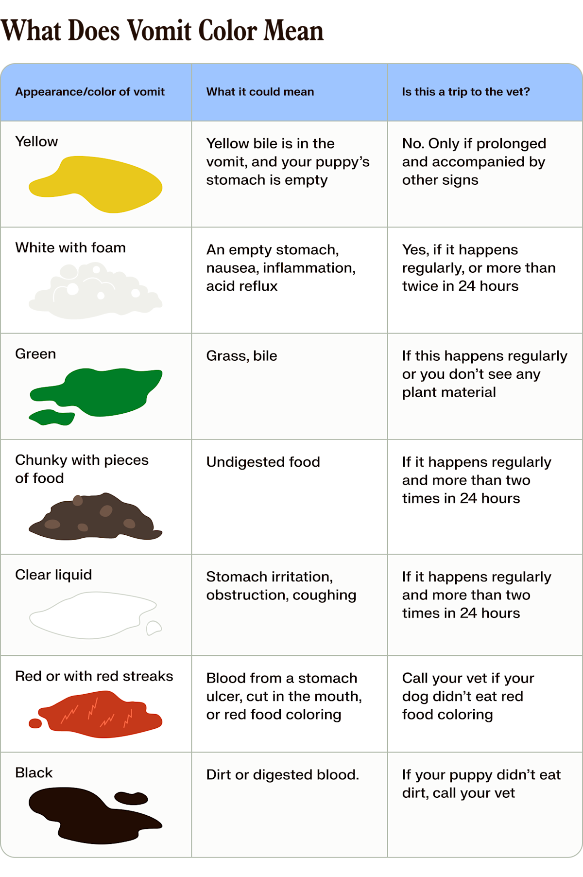a chart of what puppy vomit looks like, what to look for if your puppy has thrown up