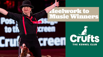 Heelwork to Music Winners Throughout the Years