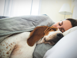 Woman and dog sleeping together in bed