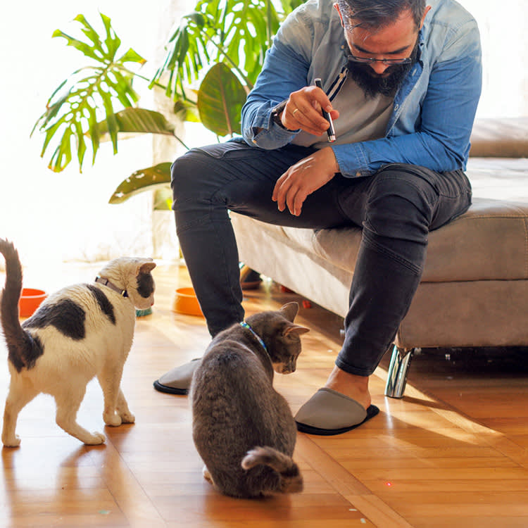 Man playing with his cats and a laser pointer.