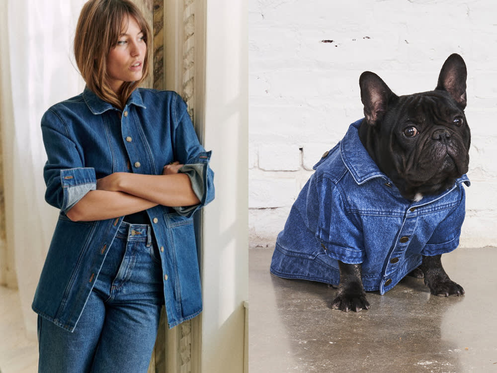 person and black french bulldog wearing denim jackets