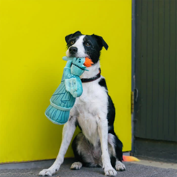 dog with blue toy hanging out of its mouth