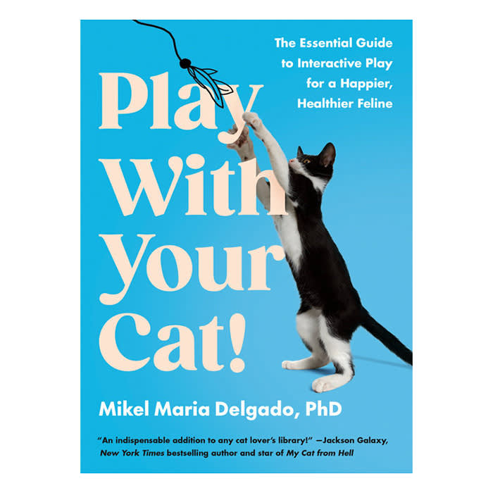 How to Play With Your Cat book