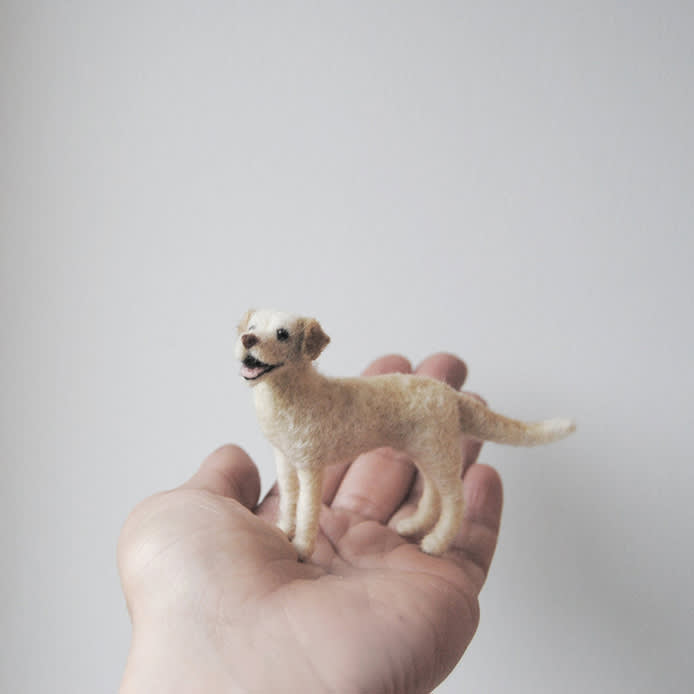 the custom miniature dog