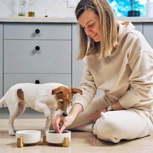 Woman feeding dog at home.