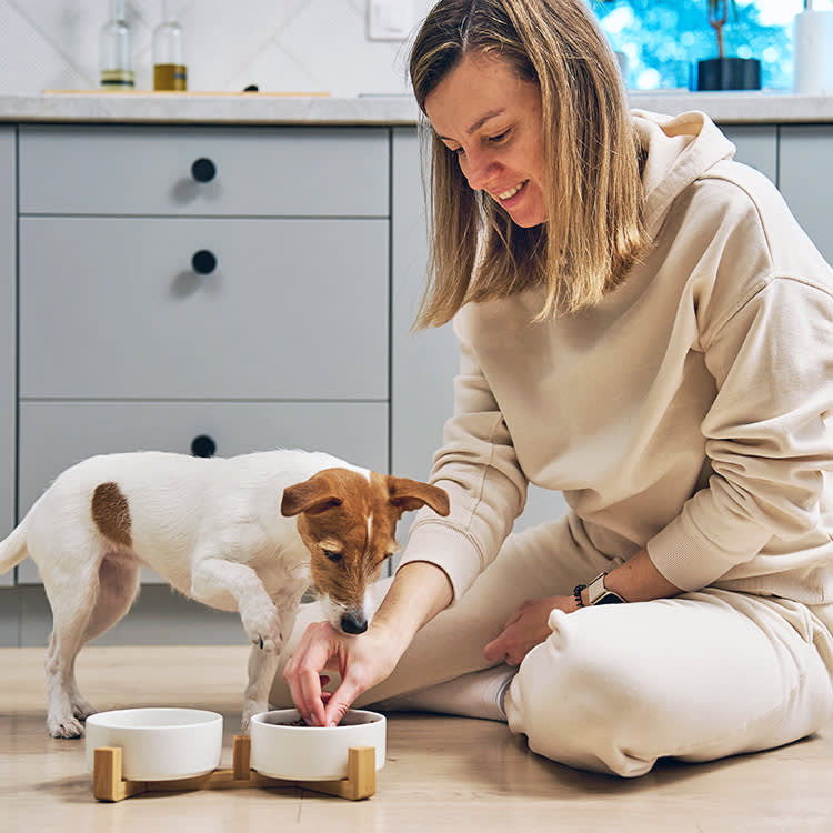 Woman feeding dog at home.