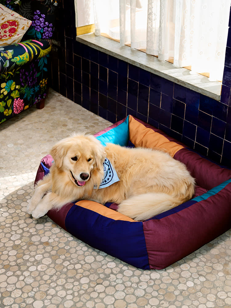 Golden Retriever lying on a colourful dog bed from HAY with a light blue neckerchief