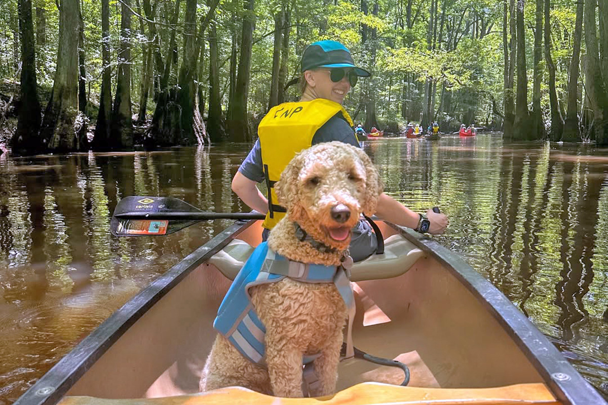 Dog at Congaree National Park