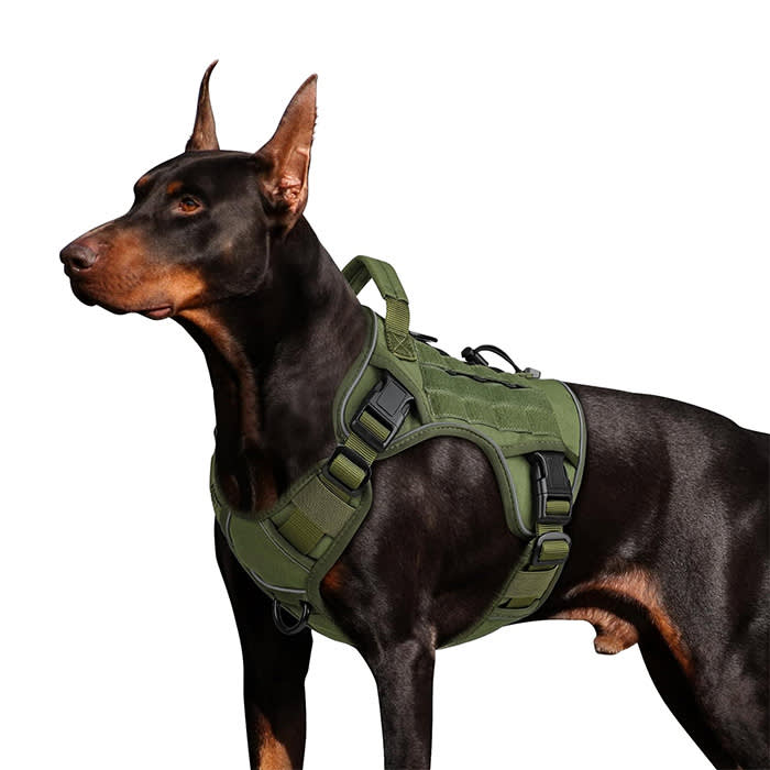 WINGOIN Tactical Dog Harness