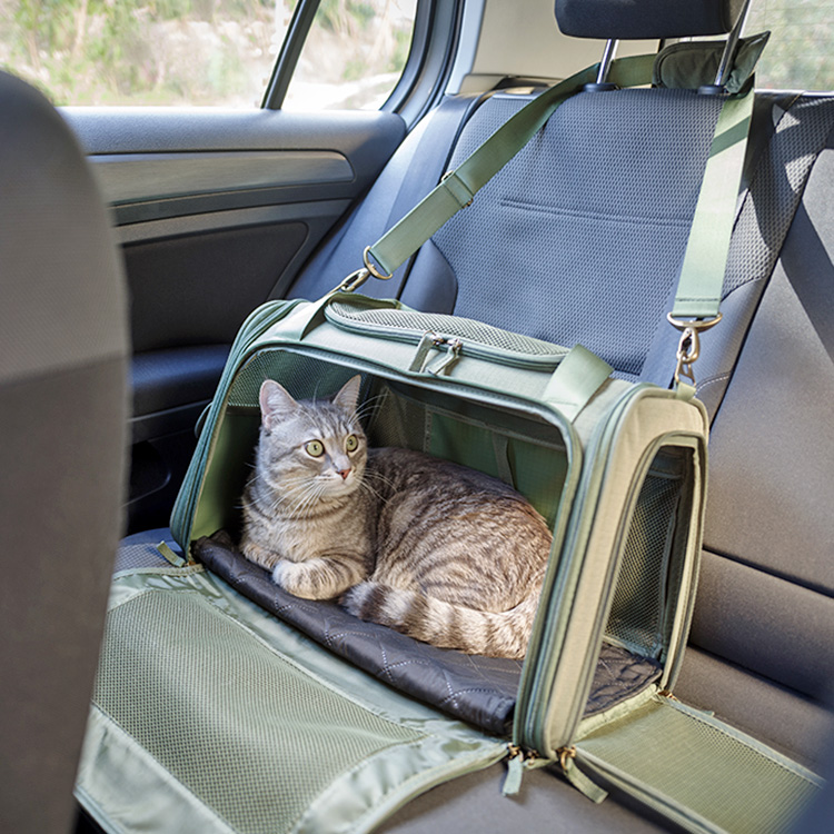 Cat in a carrier in the car.