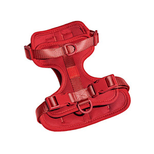 Wild One Harness in red