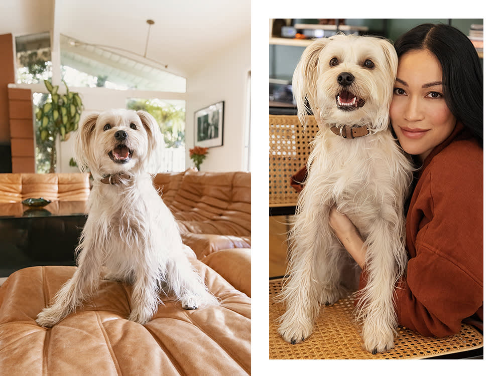 Stephanie Shepherd and her small white dog, Binx