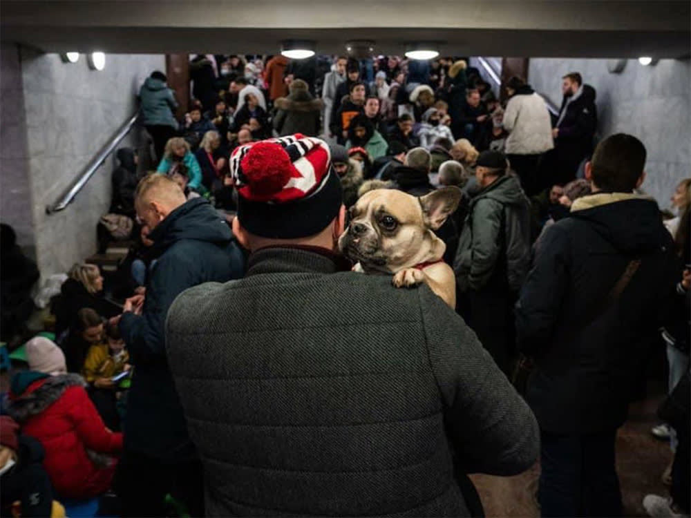 A man holding a dog in a crowded space in Ukraine. 