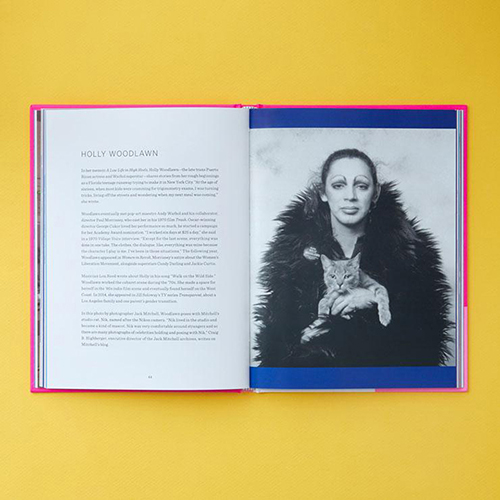 queer icon and their cat