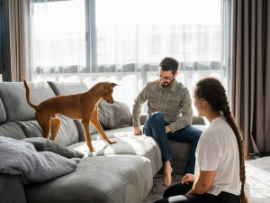 A couple int he living room playing with a laser on the couch with their dog