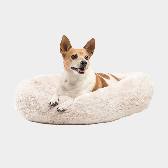 Best Friends by Sheri 