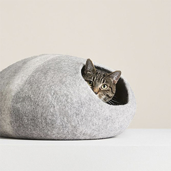 a cat inside a fuzzy rounded cat bed