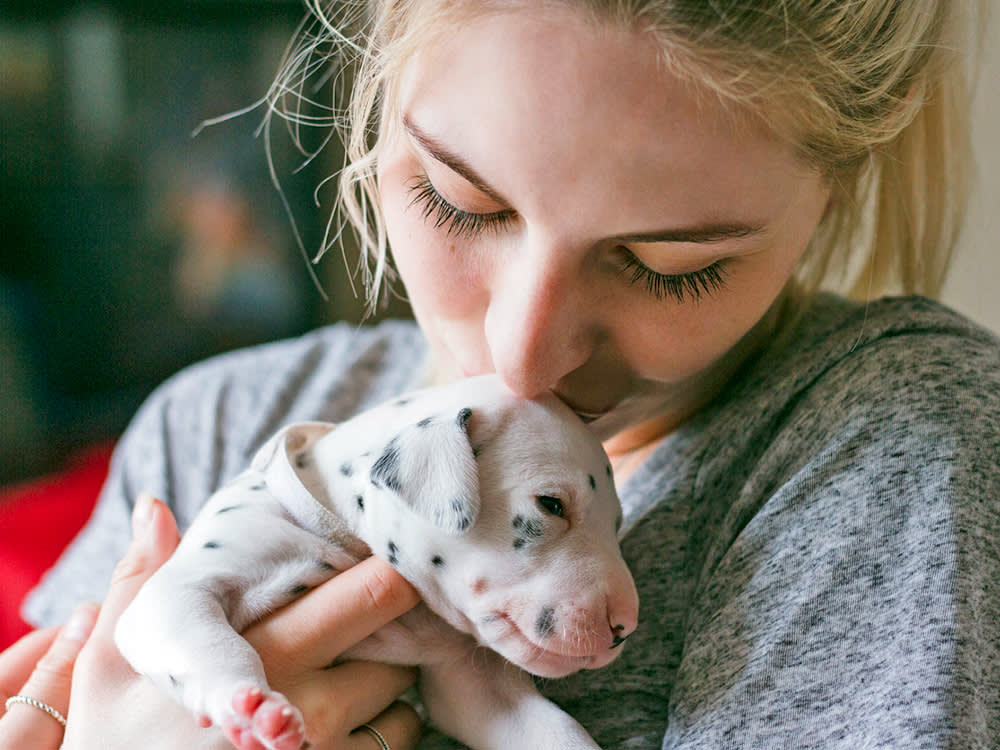 Woman kissing her small Dalmatian puppy.