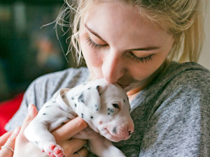 Woman kissing her small Dalmatian puppy.