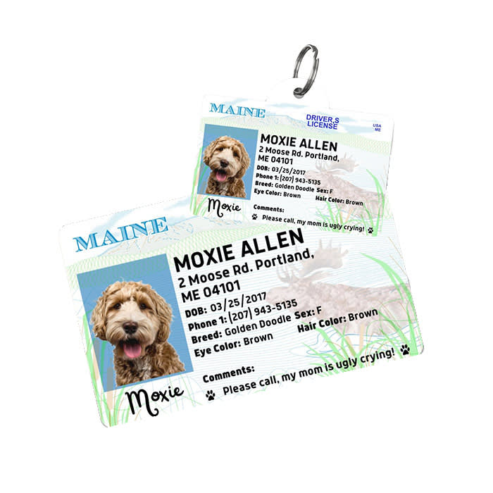 PawFurEver Pet ID License-Style Dog Tag & Wallet Card