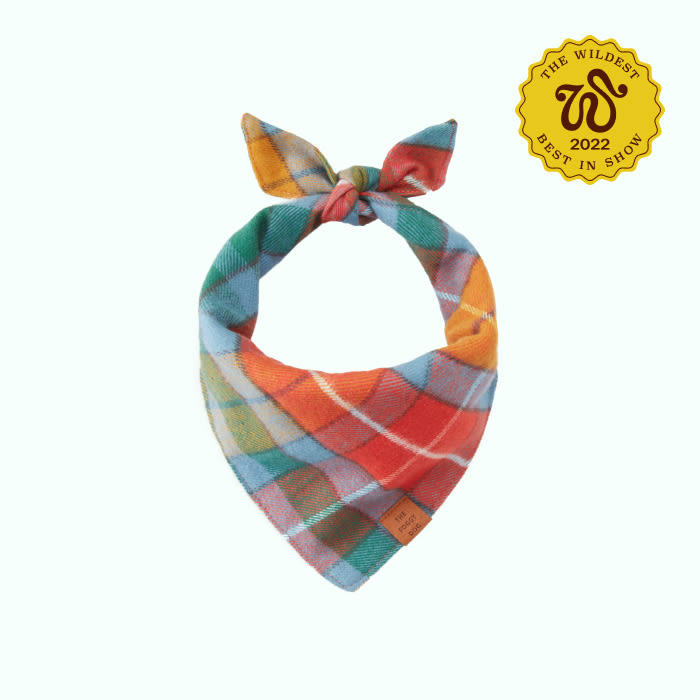 colorful bandana for dogs