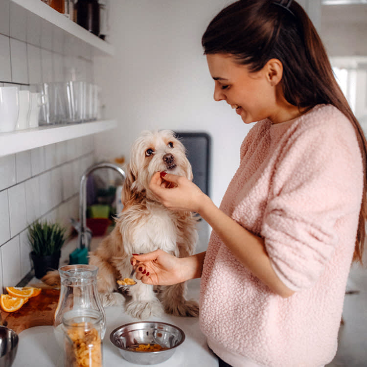 Woman making dinner for her dog at home.
