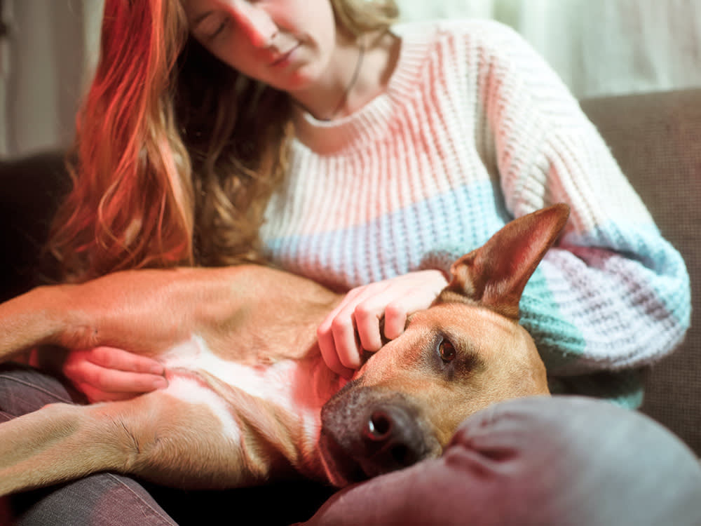 Woman petting her dog at home on the couch.