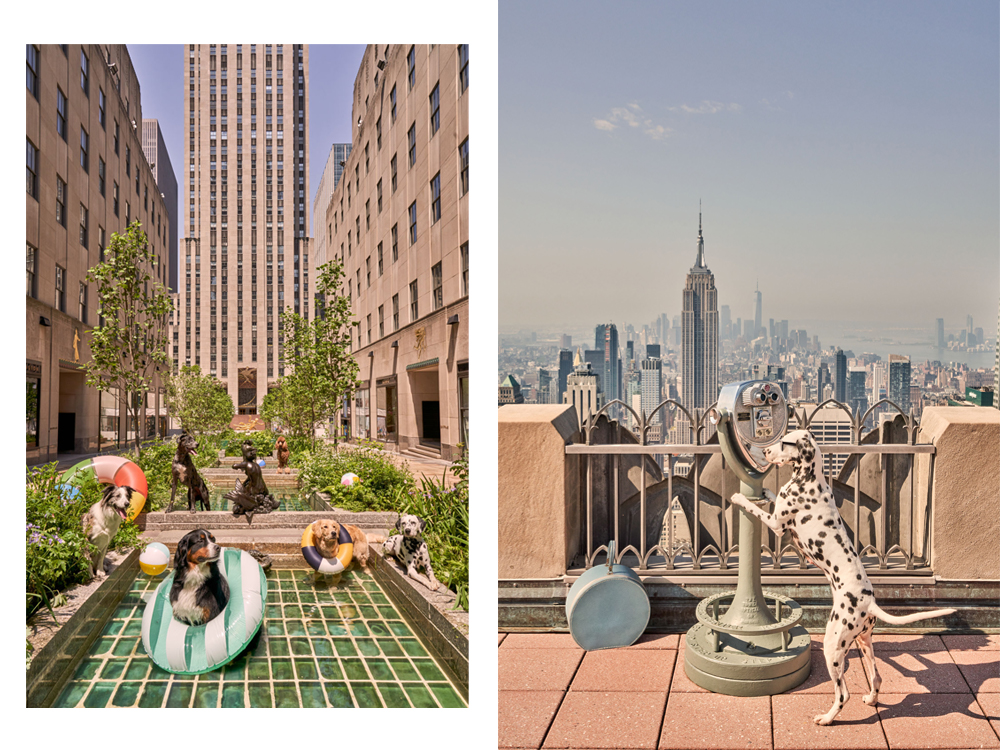 The Dogs of New York City 1000 Piece Puzzle – Gray Malin