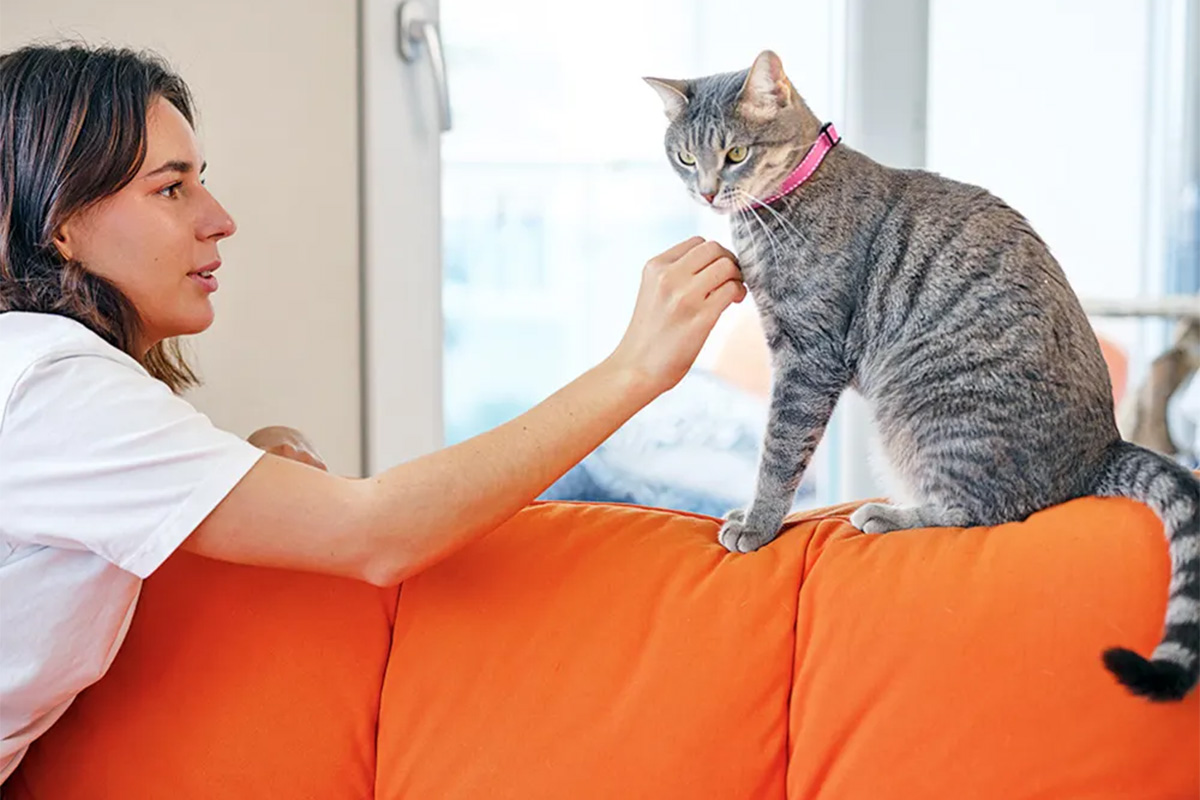 A woman and cat sit on an orange couch together.