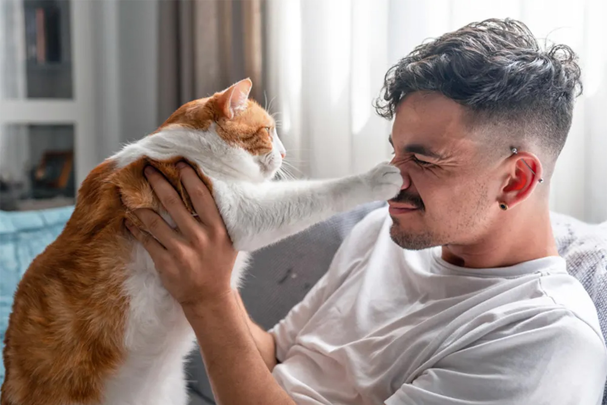 Cat pawing a man's face