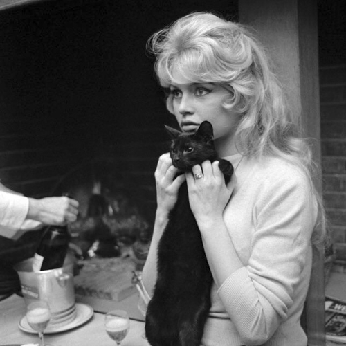 Brigitte Bardot with a cat