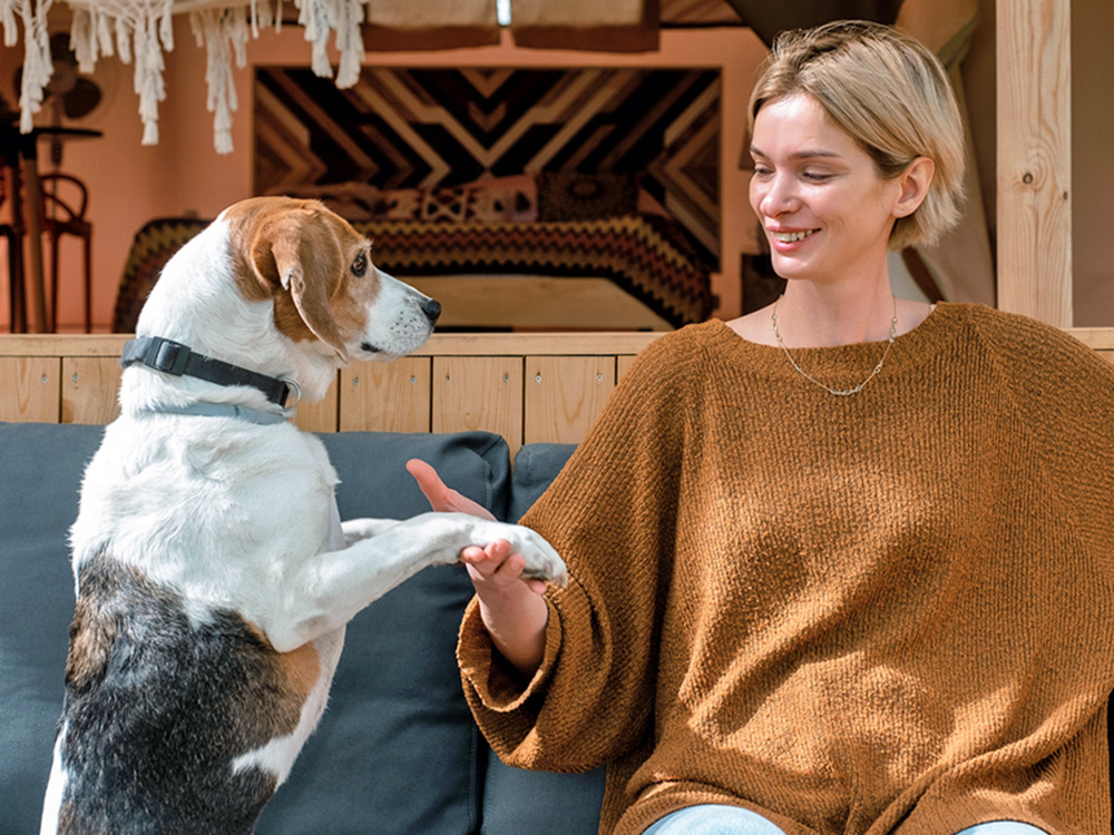 Woman looking at her dog's paws outside.