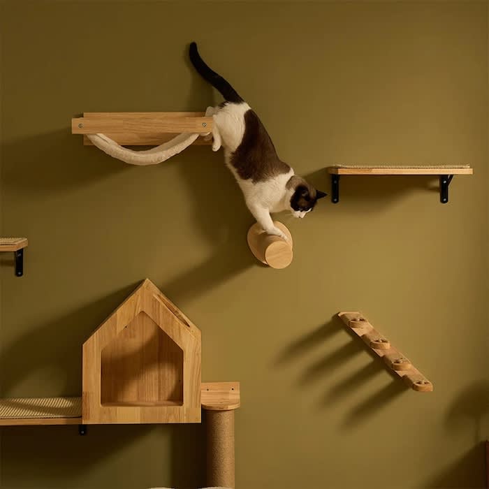 Wall Mounted Cat Hammock With Steps