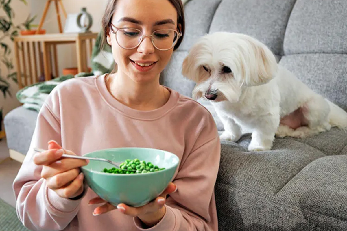 person eating peas while dog looks on