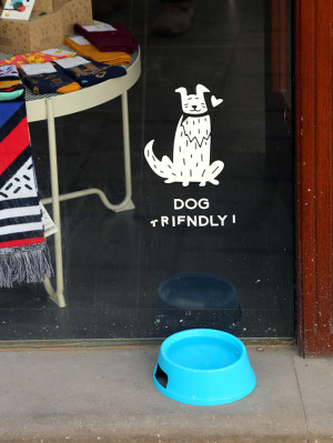 A bright blue public dog bowl with a sign that reads “dog friendly” above it. 